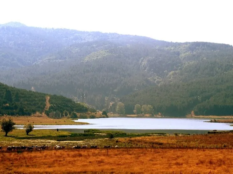Lago Ariamacina