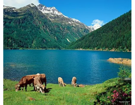 Scorcio del Parco dello Stelvio vicino Bormio