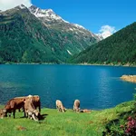 Scorcio del Parco dello Stelvio vicino Bormio