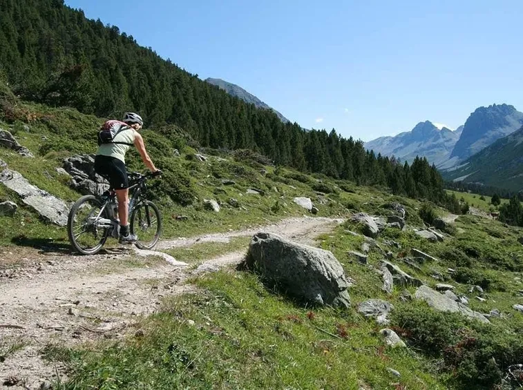 Percorso in montain bike