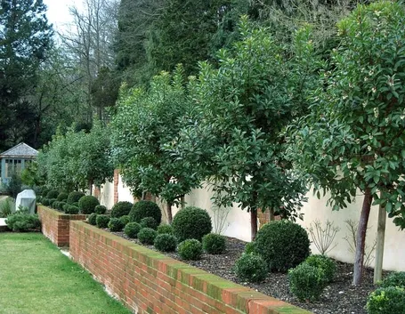 giardino curato