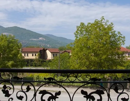 Alberi noce