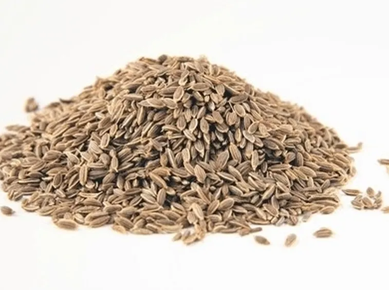 Semi di aneto
