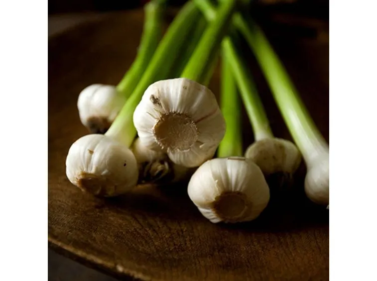 aglio