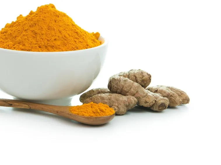 Rizomi della curcuma