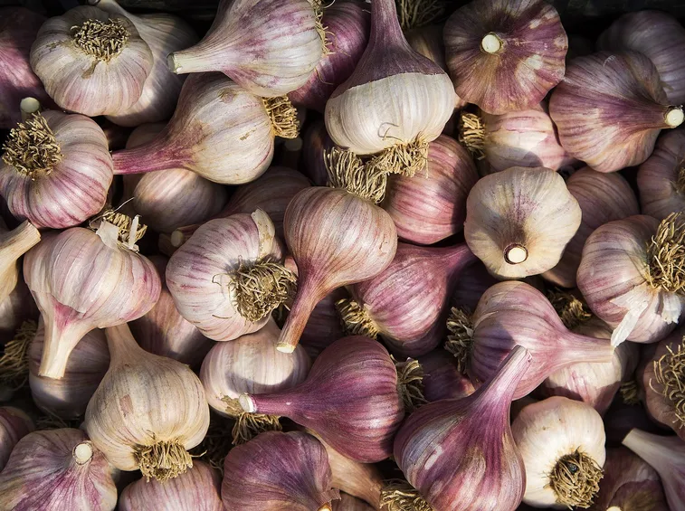aglio
