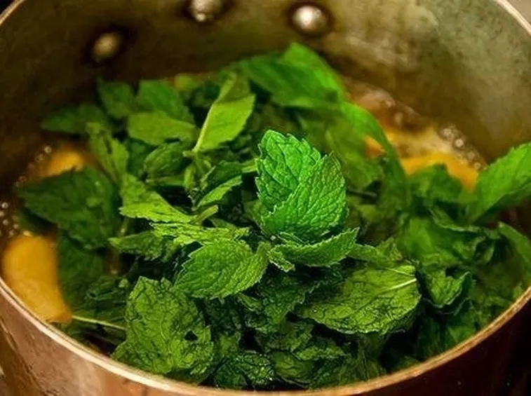 Menta
