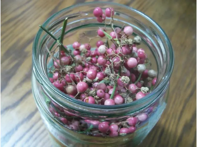 Bacche piante aromatiche