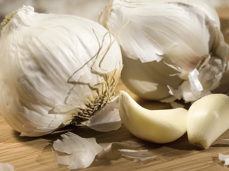 teste di aglio