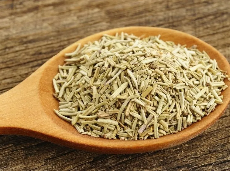 Pianta aromatica