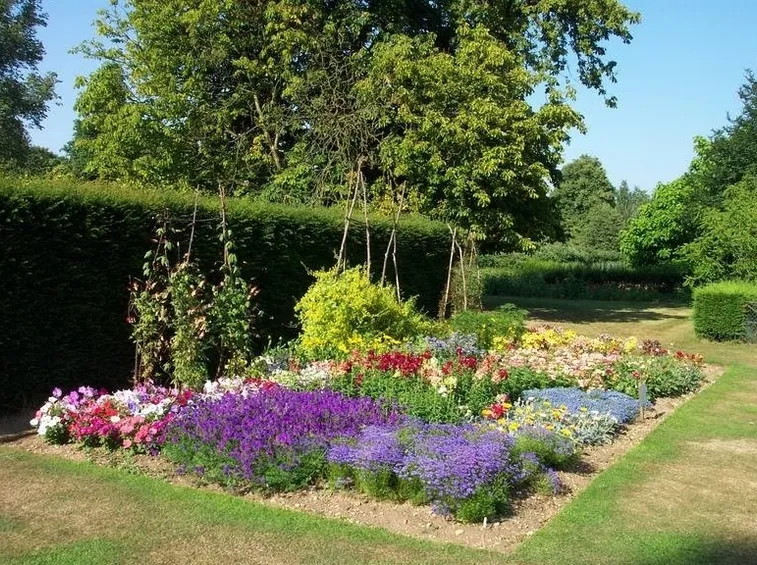 aiuola giardino