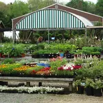 centro giardinaggio