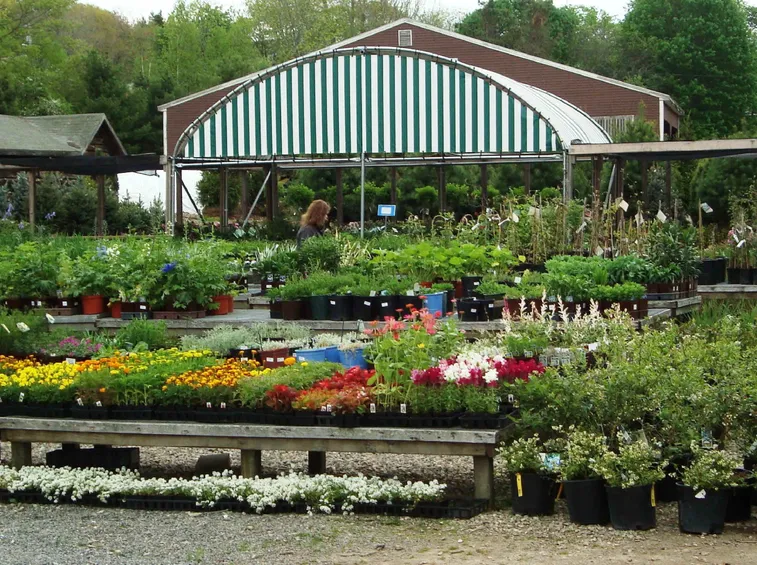 centro giardinaggio