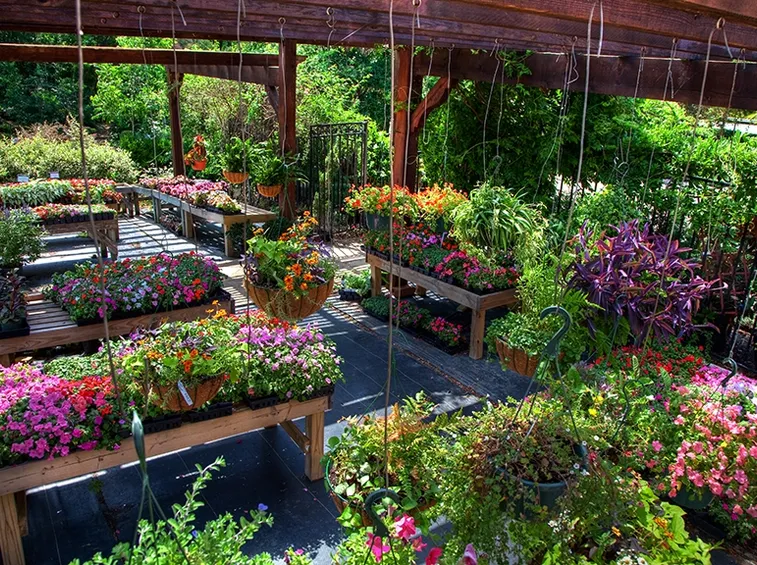 centro per il giardino