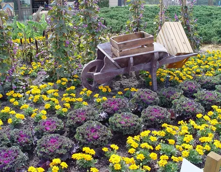 giardino invernale