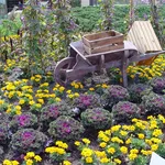 giardino invernale