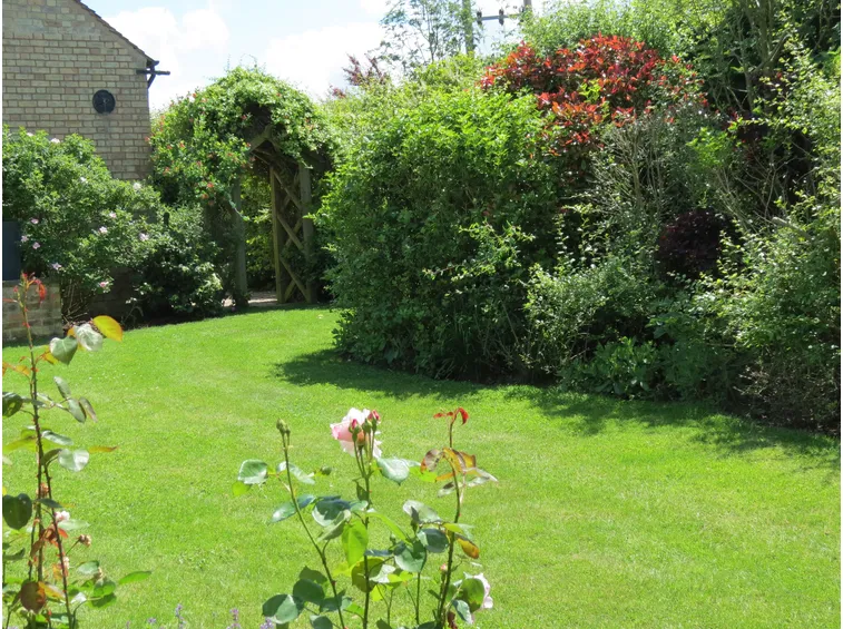 giardino