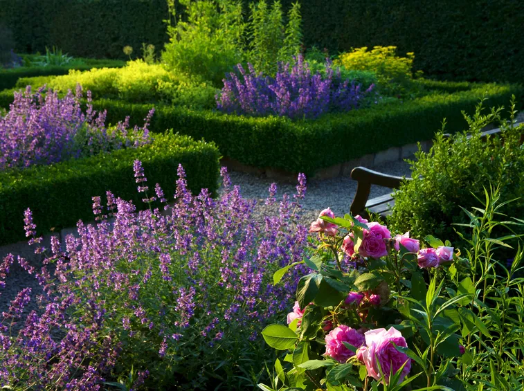 giardino fiorito