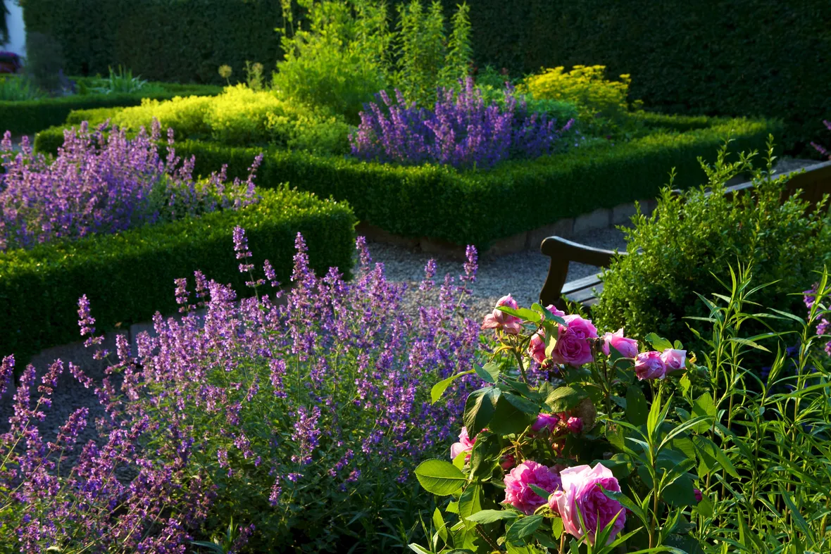 giardino fiorito