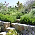 giardini a terrazze