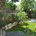 giardino piccolo