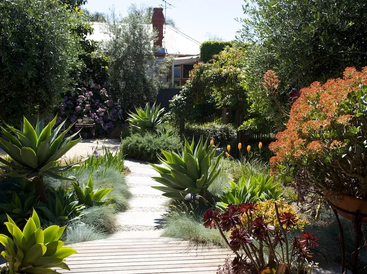 giardino esotico