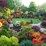 giardino fiorito