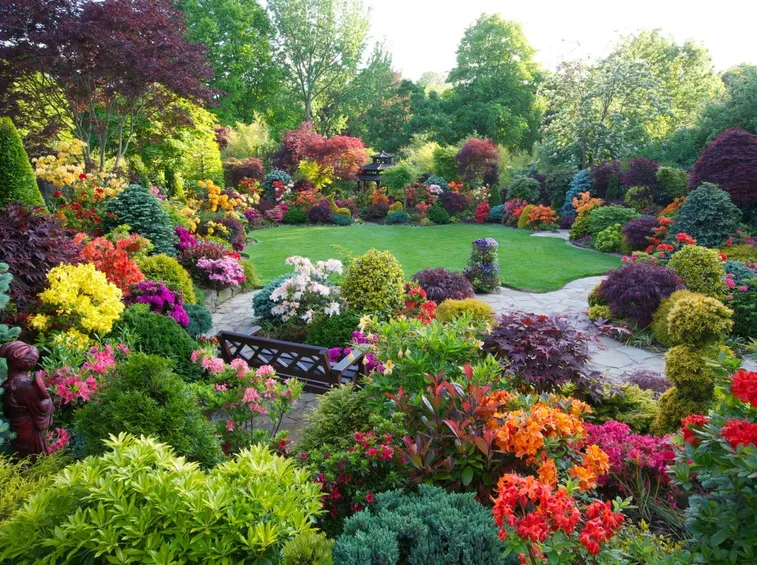 giardino fiorito