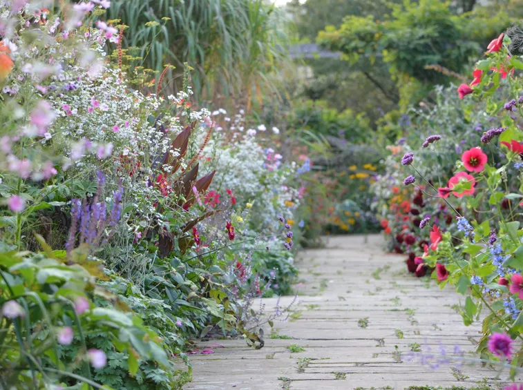 fiori in giardino inglese