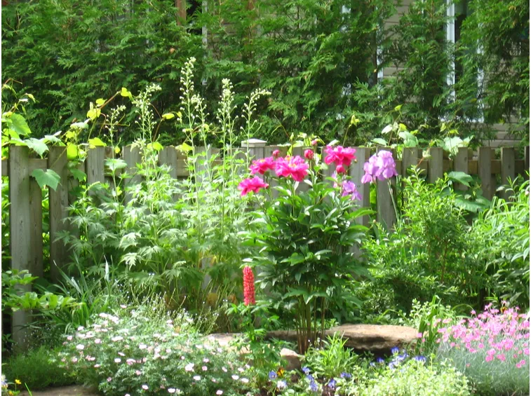 esempio di giardino inglese