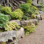 giardino roccioso