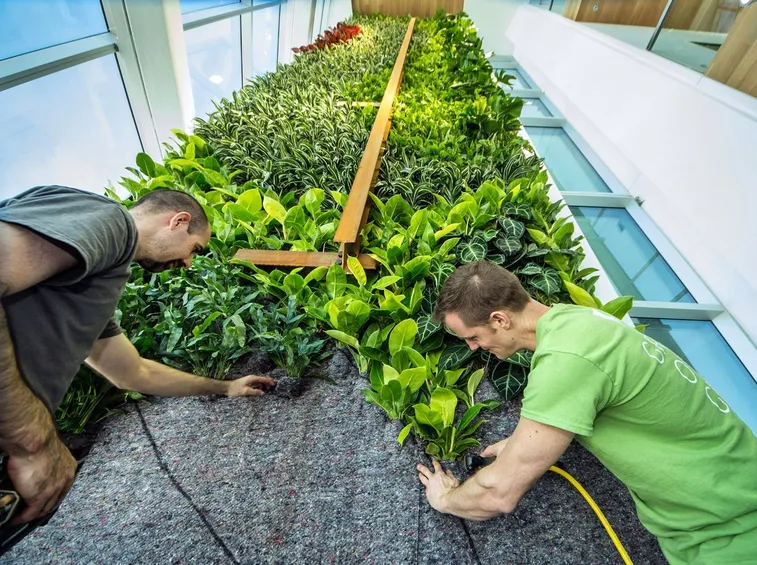 come realizzare un giardino verticale
