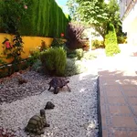 giardino mediterraneo