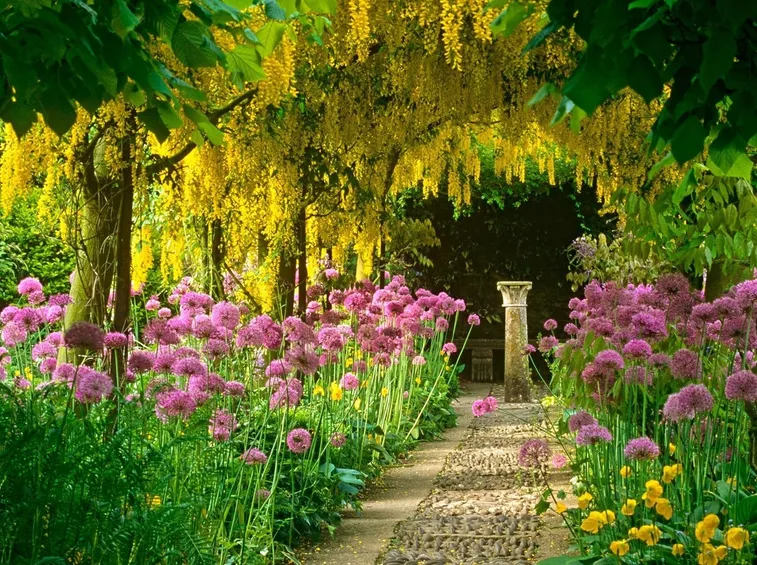 giardino fiorito