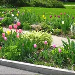 vialetto giardino