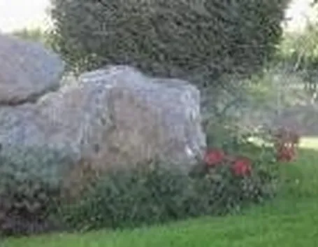 irrigazione