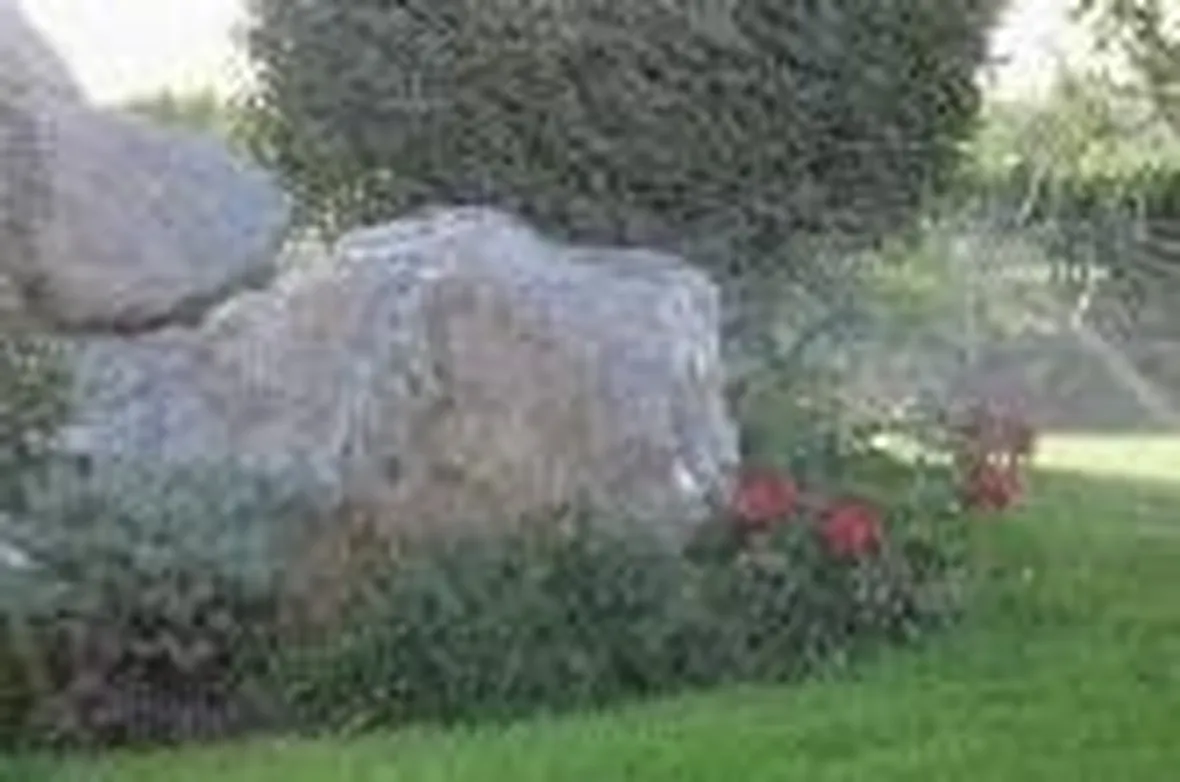 irrigazione