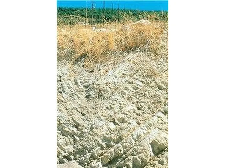 Terreno
