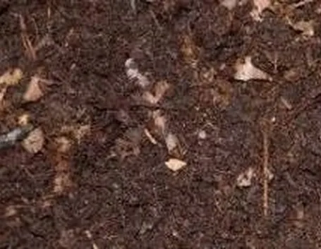 Terriccio