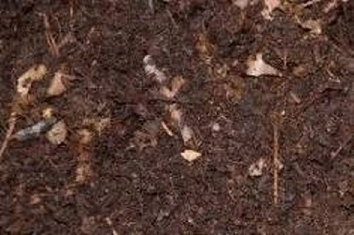 Terriccio