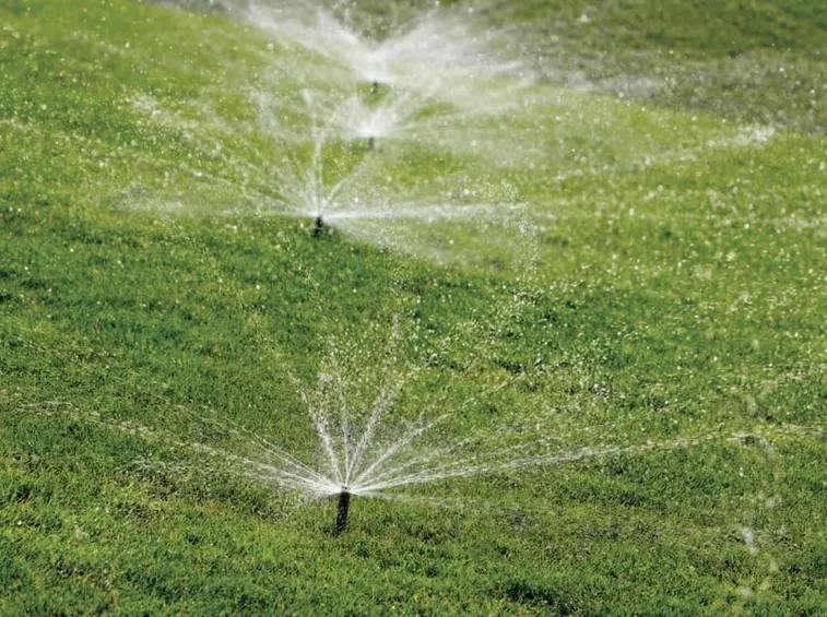 Giardino con irrigazione