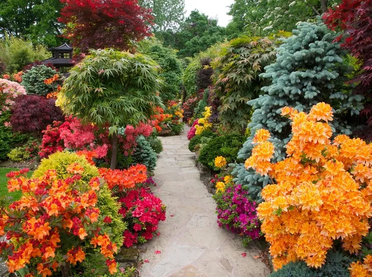 fiori in giardino