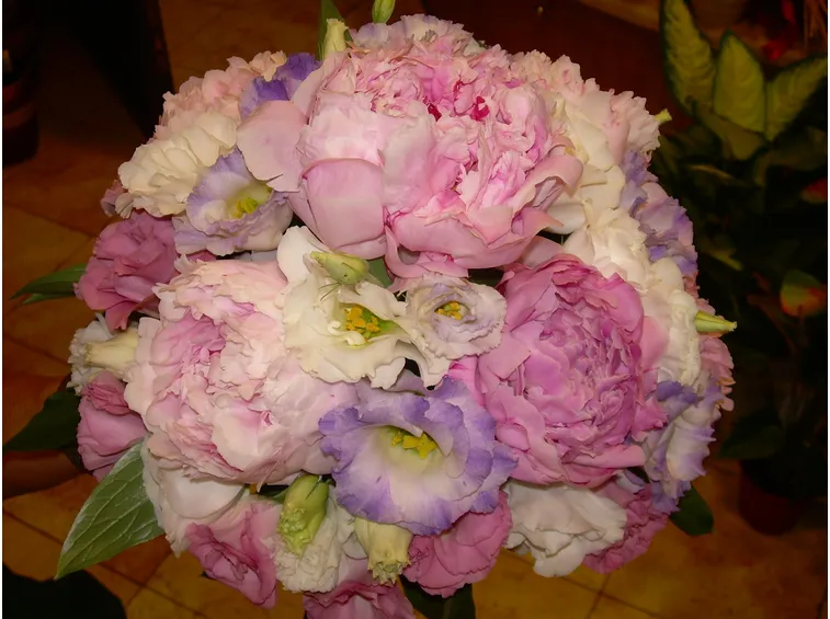 Bouquet contenente peonie