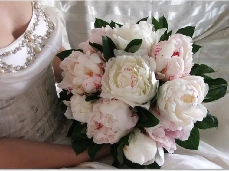 bouquet di peonie