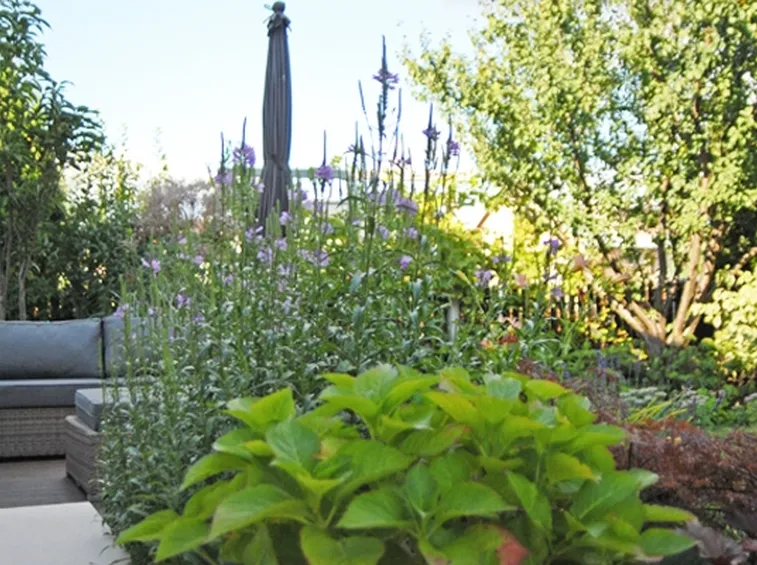 Bordure giardino