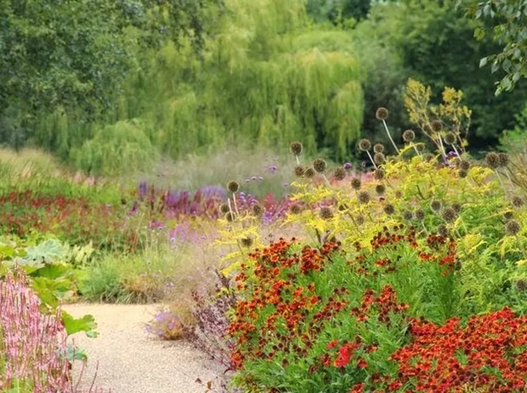 Creazione giardino variegato