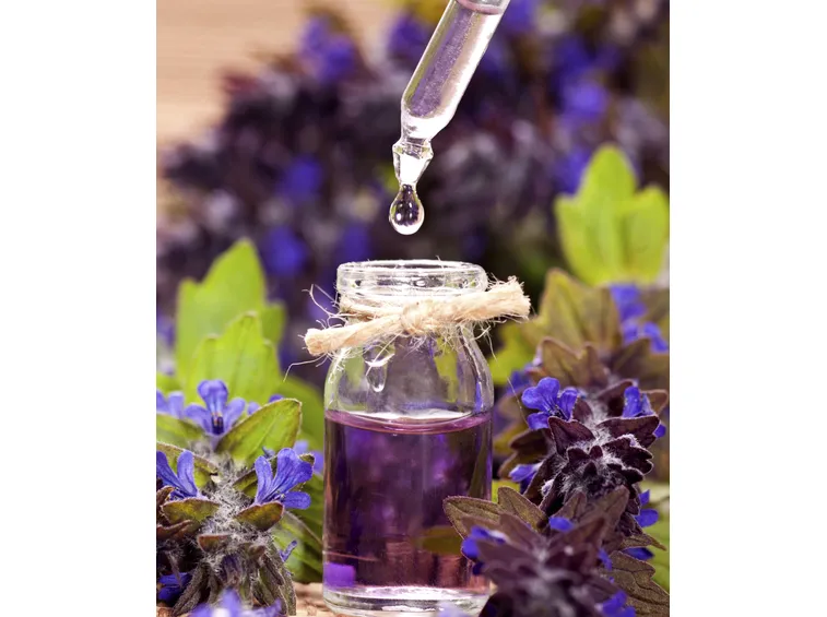L’olio essenziale di lavanda