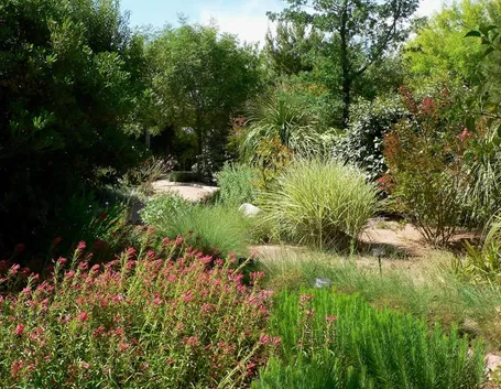 piante verdi da giardino