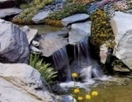 cascate in giardino roccioso