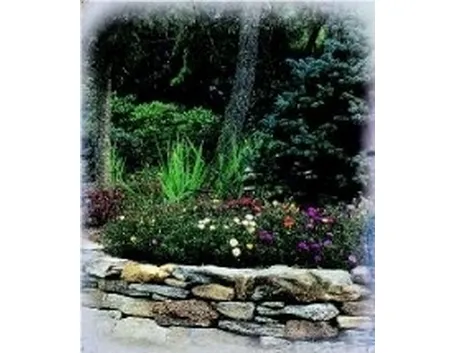 giardino roccioso